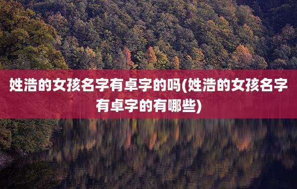 姓浩的女孩名字有卓字的吗(姓浩的女孩名字有卓字的有哪些)