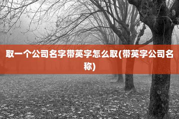 取一个公司名字带英字怎么取(带英字公司名称)