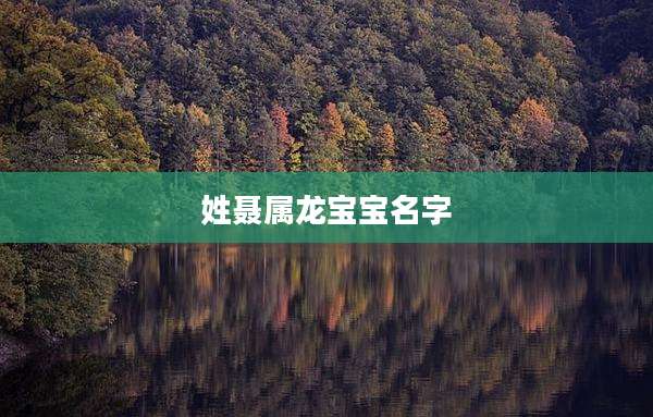姓聂属龙宝宝名字