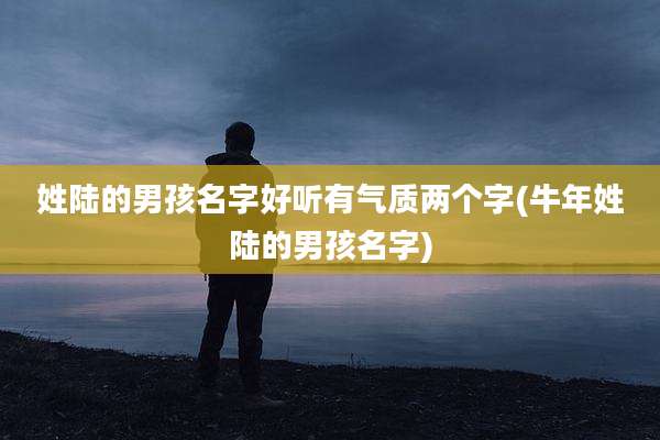 姓陆的男孩名字好听有气质两个字(牛年姓陆的男孩名字)