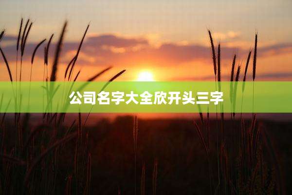 公司名字大全欣开头三字