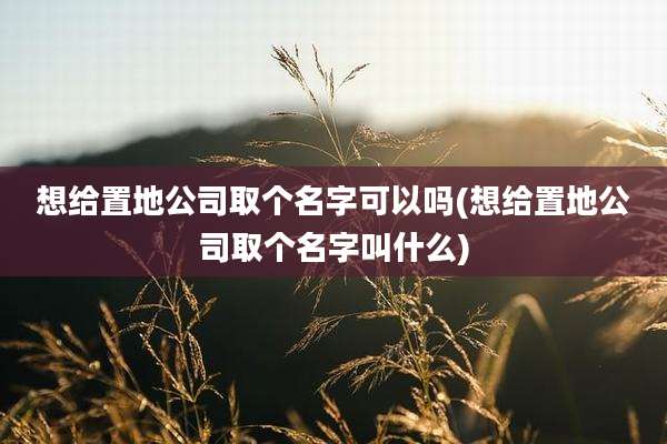 想给置地公司取个名字可以吗(想给置地公司取个名字叫什么)