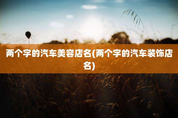 两个字的汽车美容店名(两个字的汽车装饰店名)