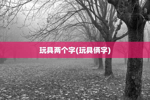 玩具两个字(玩具俩字)