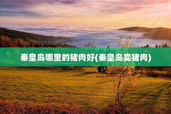 秦皇岛哪里的猪肉好(秦皇岛卖猪肉)