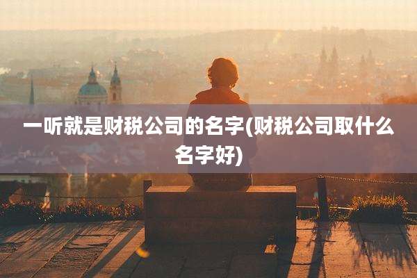 一听就是财税公司的名字(财税公司取什么名字好)