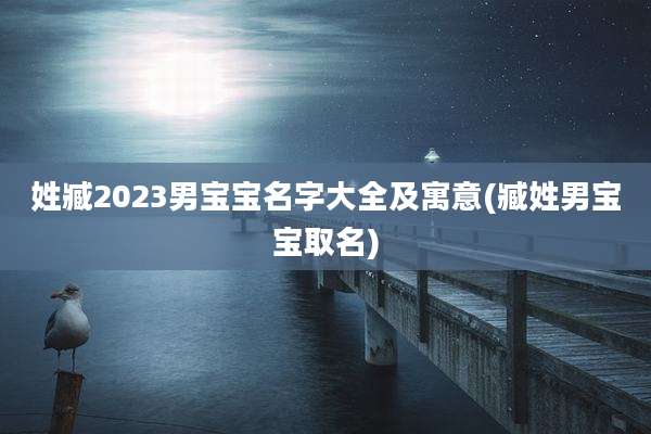姓臧2023男宝宝名字大全及寓意(臧姓男宝宝取名)