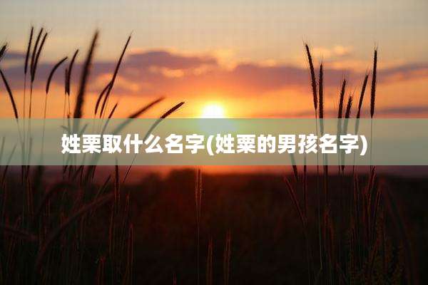 姓栗取什么名字(姓粟的男孩名字)