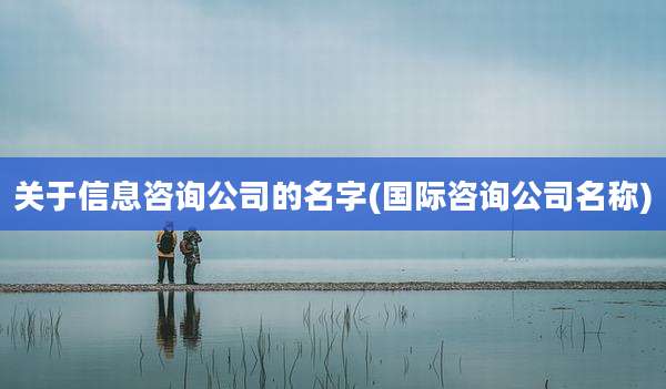 关于信息咨询公司的名字(国际咨询公司名称)