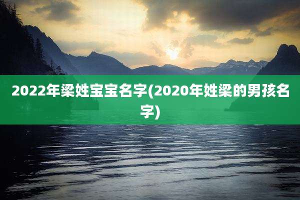 2022年梁姓宝宝名字(2020年姓梁的男孩名字)