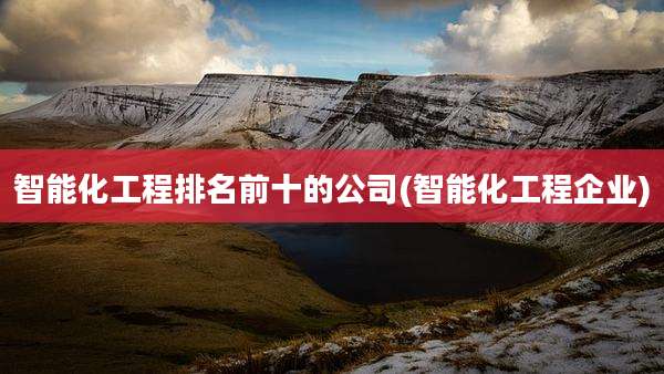 智能化工程排名前十的公司(智能化工程企业)