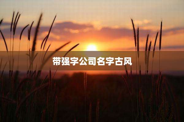 带强字公司名字古风