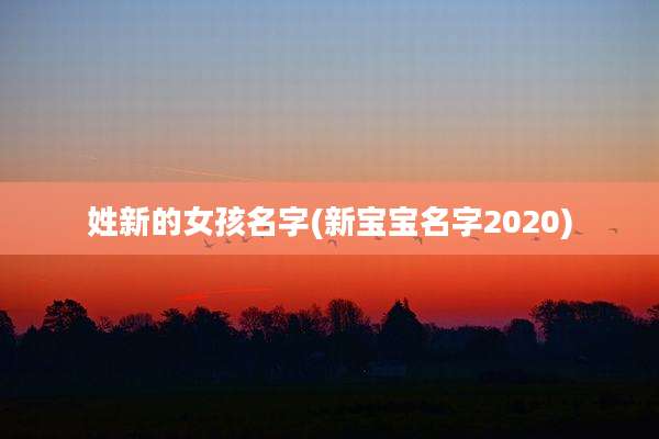 姓新的女孩名字(新宝宝名字2020)