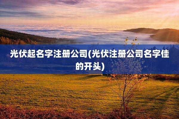 光伏起名字注册公司(光伏注册公司名字佳的开头)