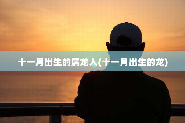 十一月出生的属龙人(十一月出生的龙)