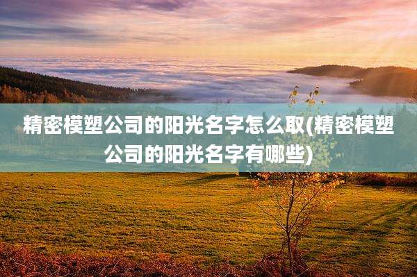 精密模塑公司的阳光名字怎么取(精密模塑公司的阳光名字有哪些)