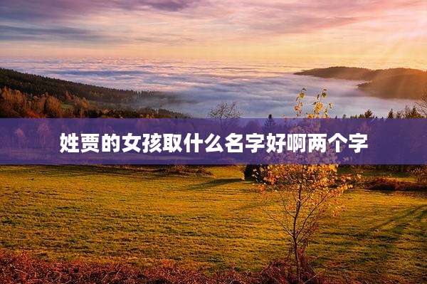 姓贾的女孩取什么名字好啊两个字
