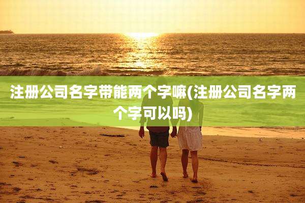 注册公司名字带能两个字嘛(注册公司名字两个字可以吗)