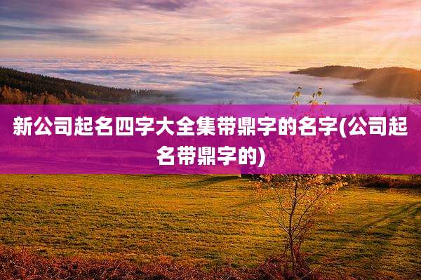 新公司起名四字大全集带鼎字的名字(公司起名带鼎字的)