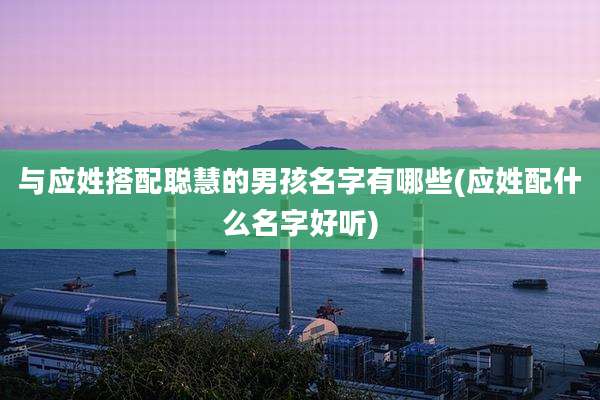 与应姓搭配聪慧的男孩名字有哪些(应姓配什么名字好听)