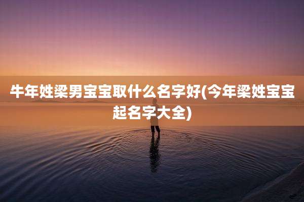 牛年姓梁男宝宝取什么名字好(今年梁姓宝宝起名字大全)