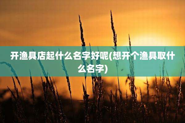 开渔具店起什么名字好呢(想开个渔具取什么名字)
