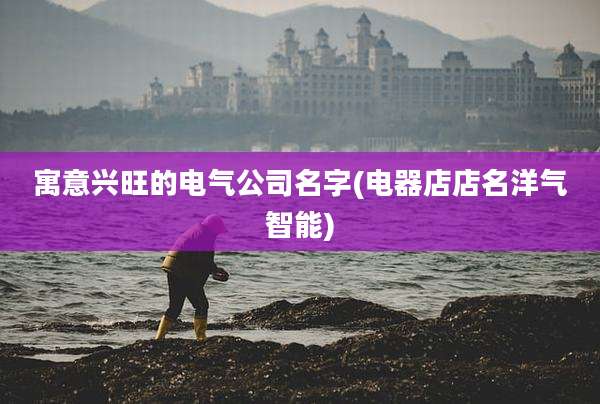 寓意兴旺的电气公司名字(电器店店名洋气智能)
