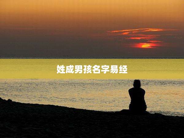 姓成男孩名字易经
