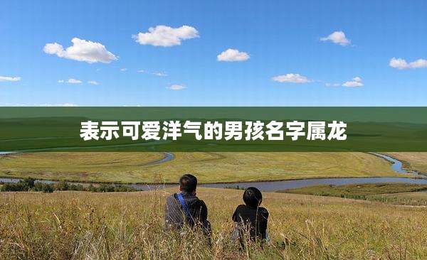 表示可爱洋气的男孩名字属龙