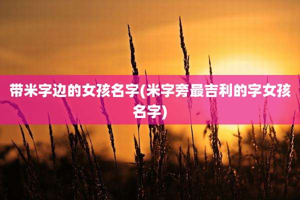 带米字边的女孩名字(米字旁最吉利的字女孩名字)