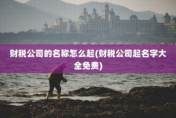 财税公司的名称怎么起(财税公司起名字大全免费)