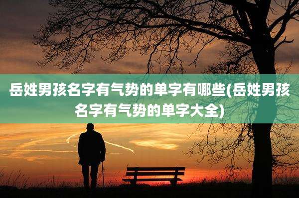 岳姓男孩名字有气势的单字有哪些(岳姓男孩名字有气势的单字大全)