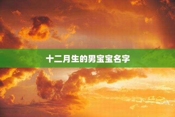 十二月生的男宝宝名字