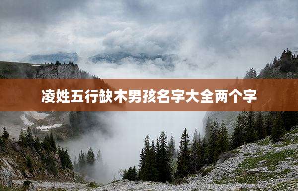 凌姓五行缺木男孩名字大全两个字