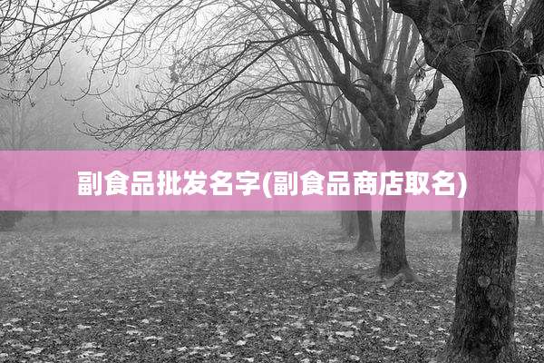 副食品批发名字(副食品商店取名)
