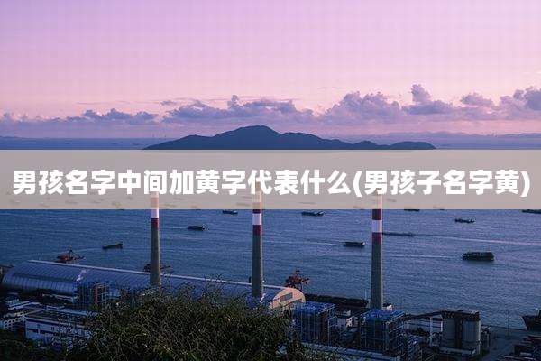男孩名字中间加黄字代表什么(男孩子名字黄)