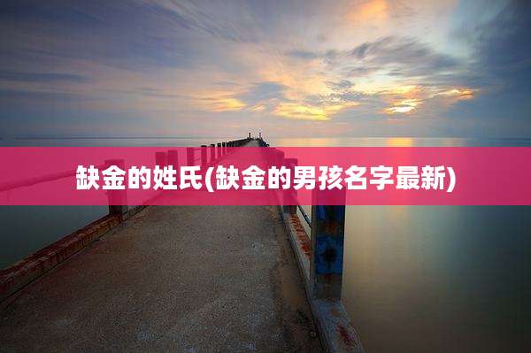 缺金的姓氏(缺金的男孩名字最新)