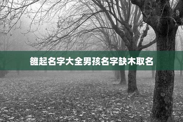 雒起名字大全男孩名字缺木取名