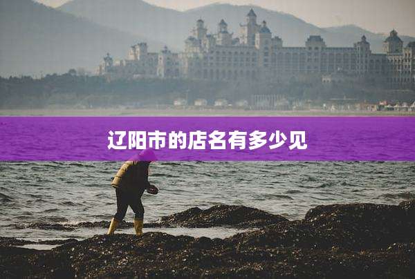 辽阳市的店名有多少见