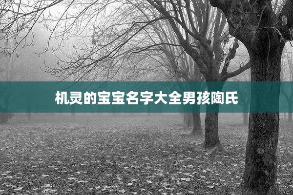机灵的宝宝名字大全男孩陶氏