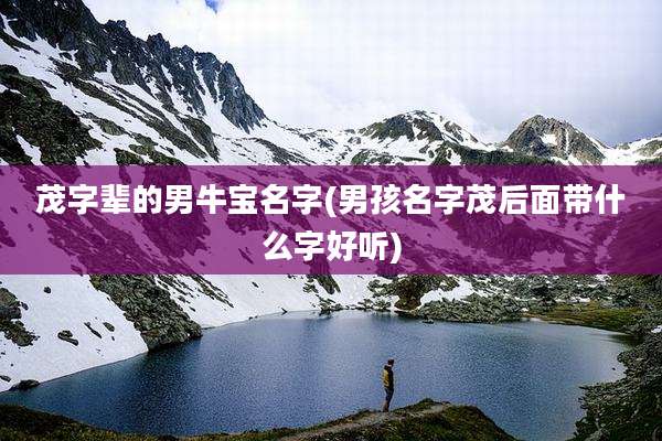 茂字辈的男牛宝名字(男孩名字茂后面带什么字好听)