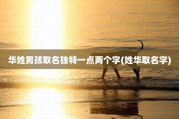 华姓男孩取名独特一点两个字(姓华取名字)