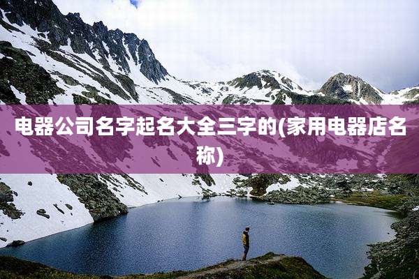 电器公司名字起名大全三字的(家用电器店名称)