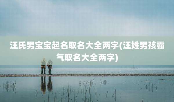汪氏男宝宝起名取名大全两字(汪姓男孩霸气取名大全两字)
