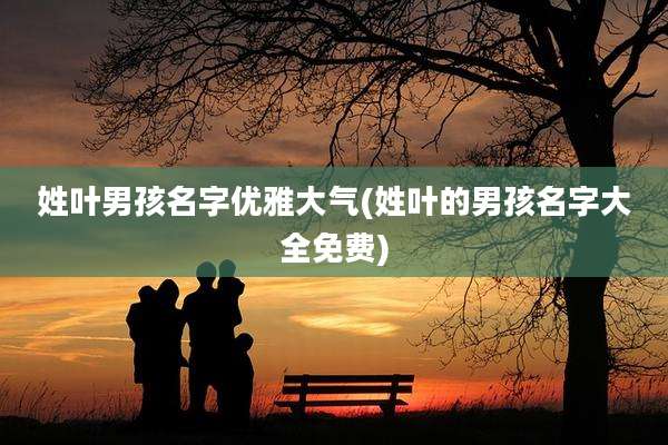 姓叶男孩名字优雅大气(姓叶的男孩名字大全免费)