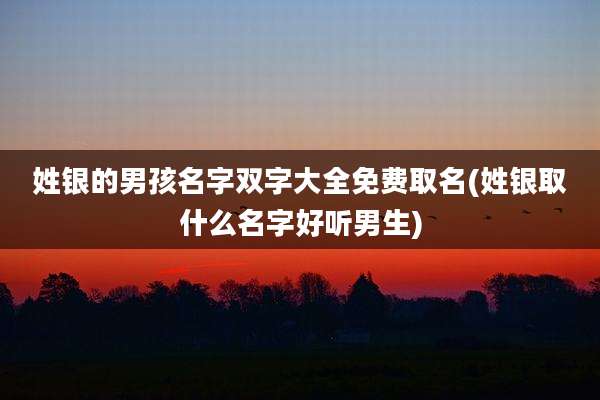姓银的男孩名字双字大全免费取名(姓银取什么名字好听男生)