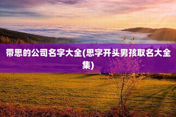 带思的公司名字大全(思字开头男孩取名大全集)
