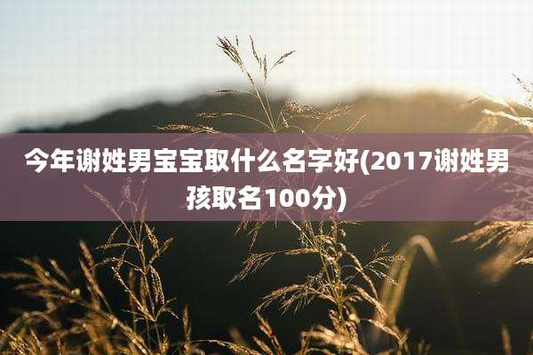 今年谢姓男宝宝取什么名字好(2017谢姓男孩取名100分)