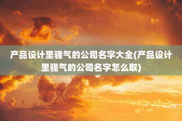 产品设计里骚气的公司名字大全(产品设计里骚气的公司名字怎么取)
