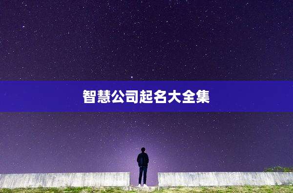 智慧公司起名大全集